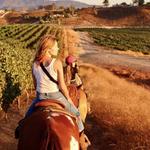 Wine Country Trails by Horseback