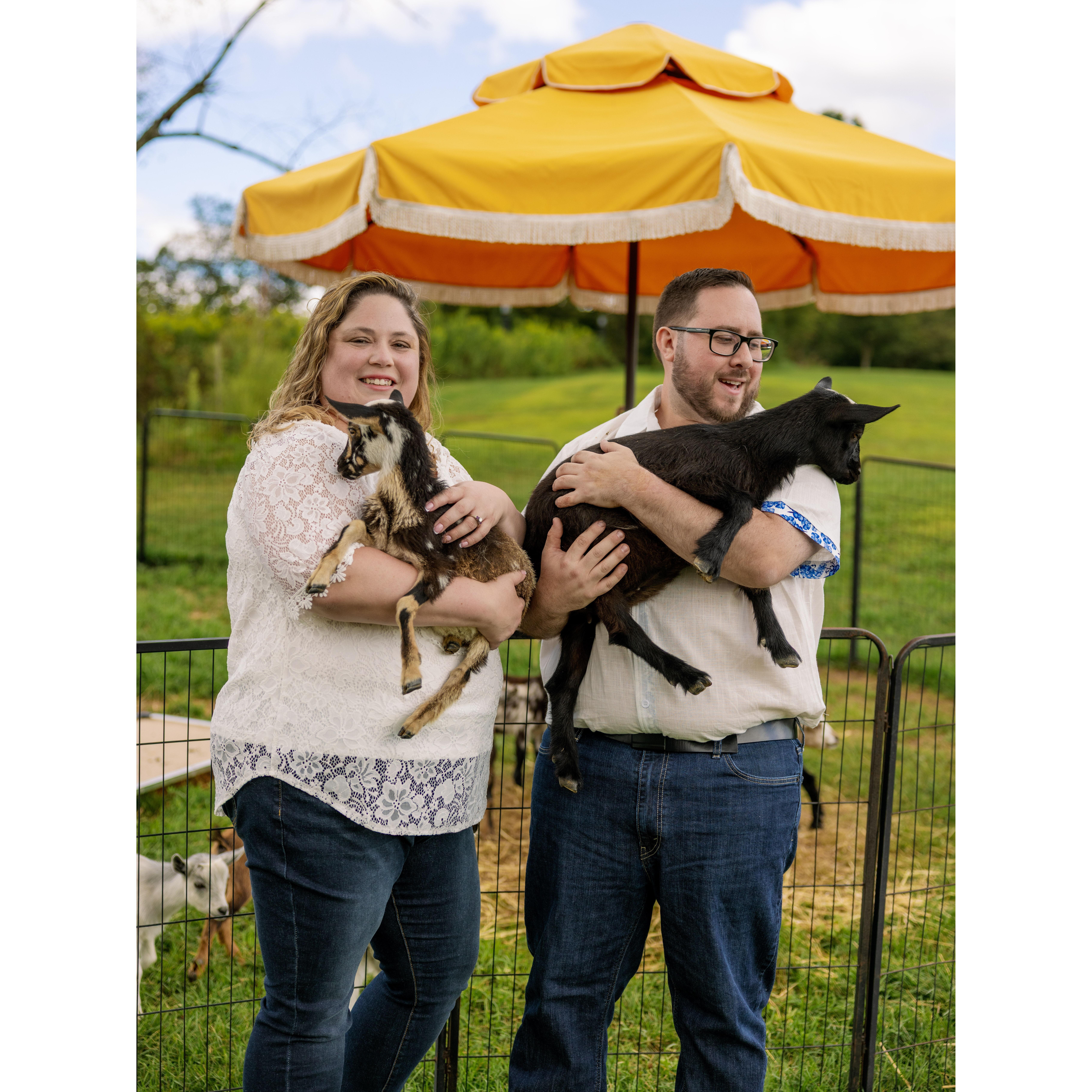 Engagement session- playing with the goats at Gilbertsville Farmhouse