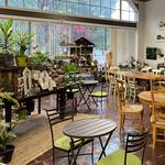 Little Green A Plant Bar