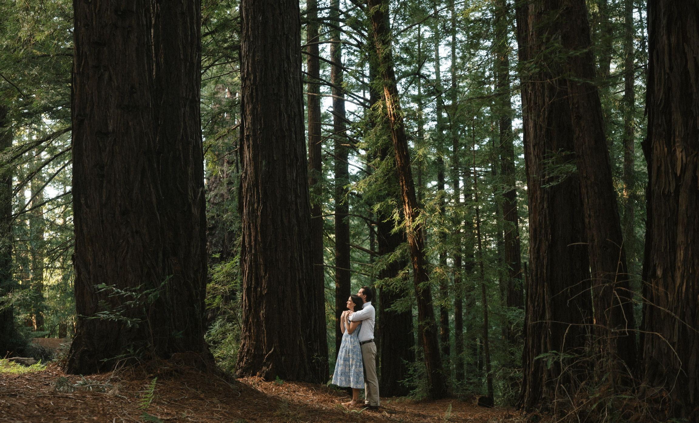 The Wedding Website of Martin Eriks and Laura Wattenbarger