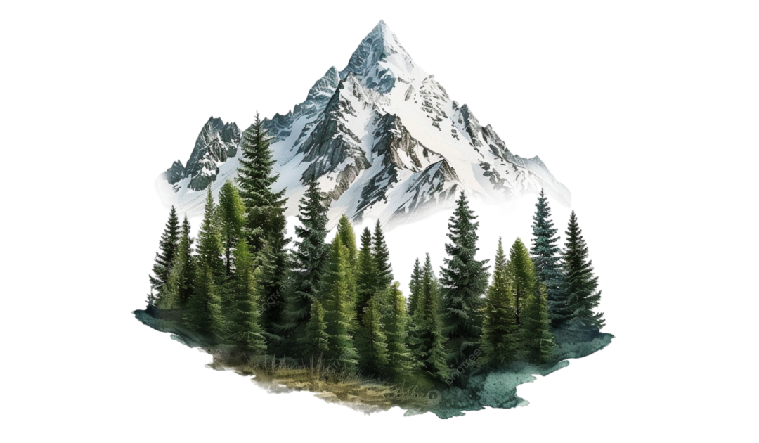 Footer image