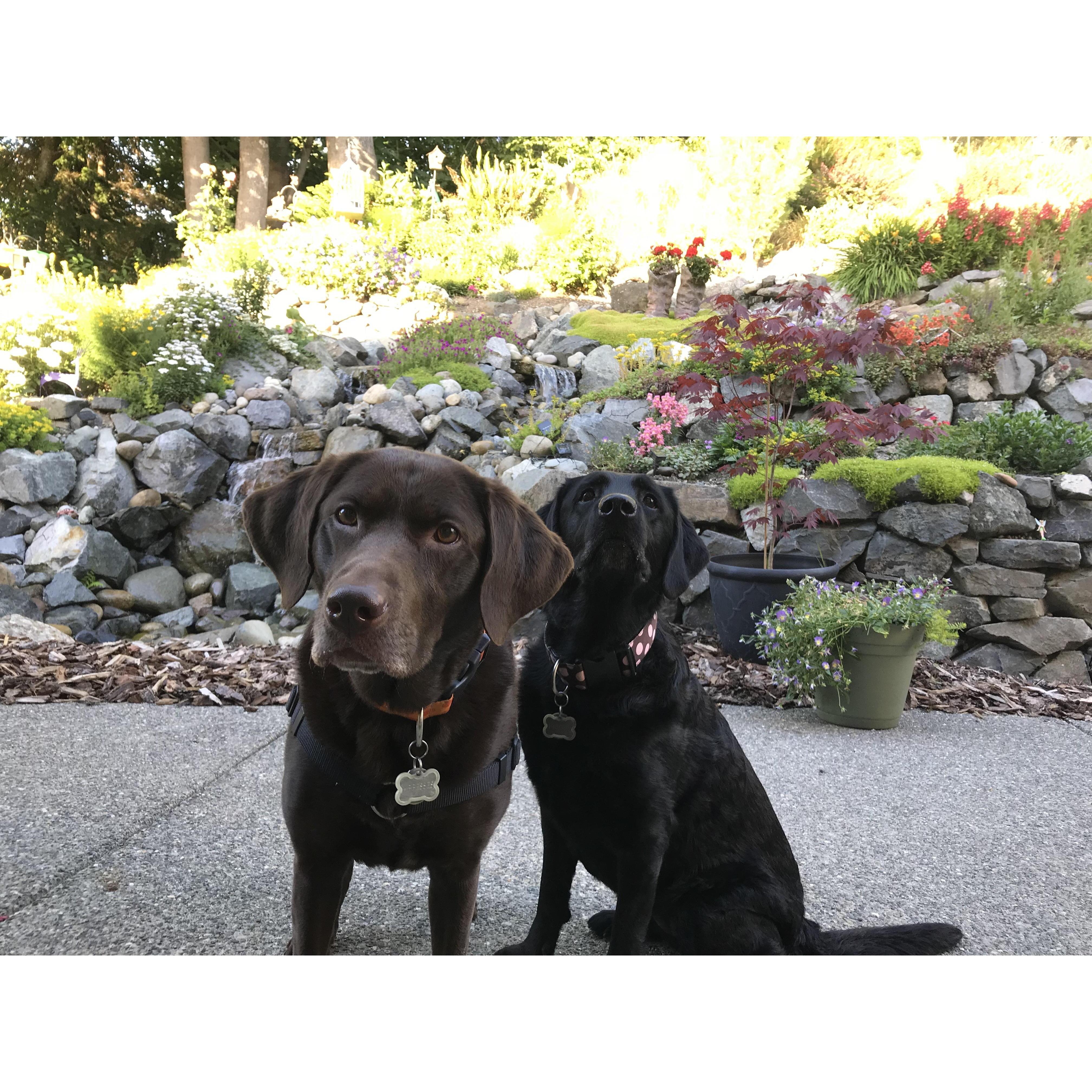 First guests in the new house