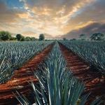 Jalisco