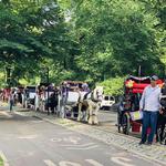 Central Park