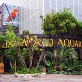 The Dallas World Aquarium