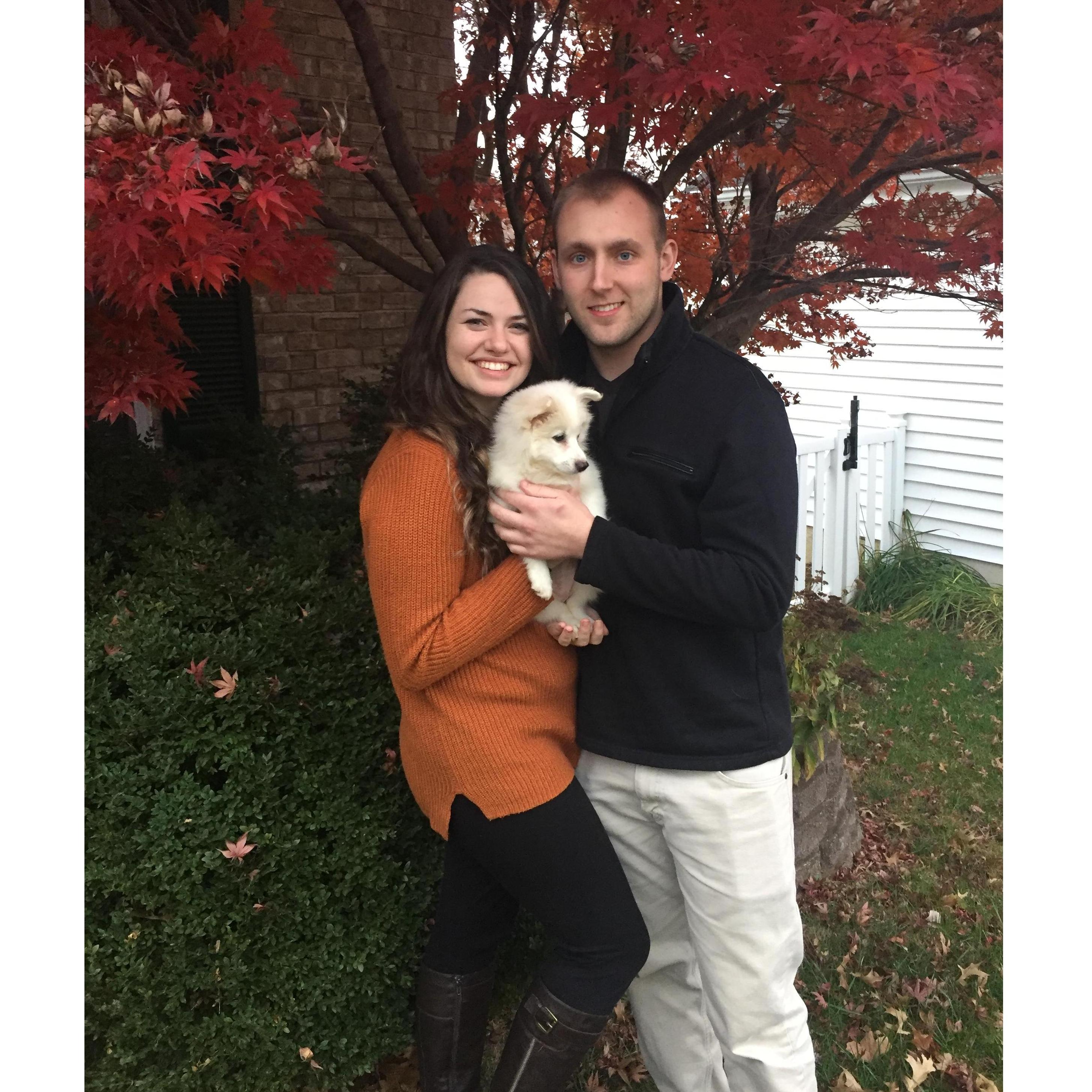 Thanksgiving 2016- the week we got Aspen!