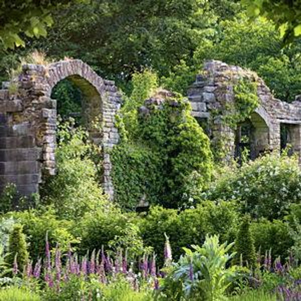 Andrew's Writing & Gardening Fund