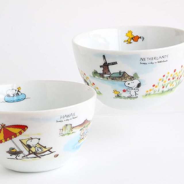 Shimizutougyou Hawaii Netherlands Snoopy Bowl Set, 2-Piece, Porcelain, Modern Animal Print, 4.8 oz (140 ml) Each
