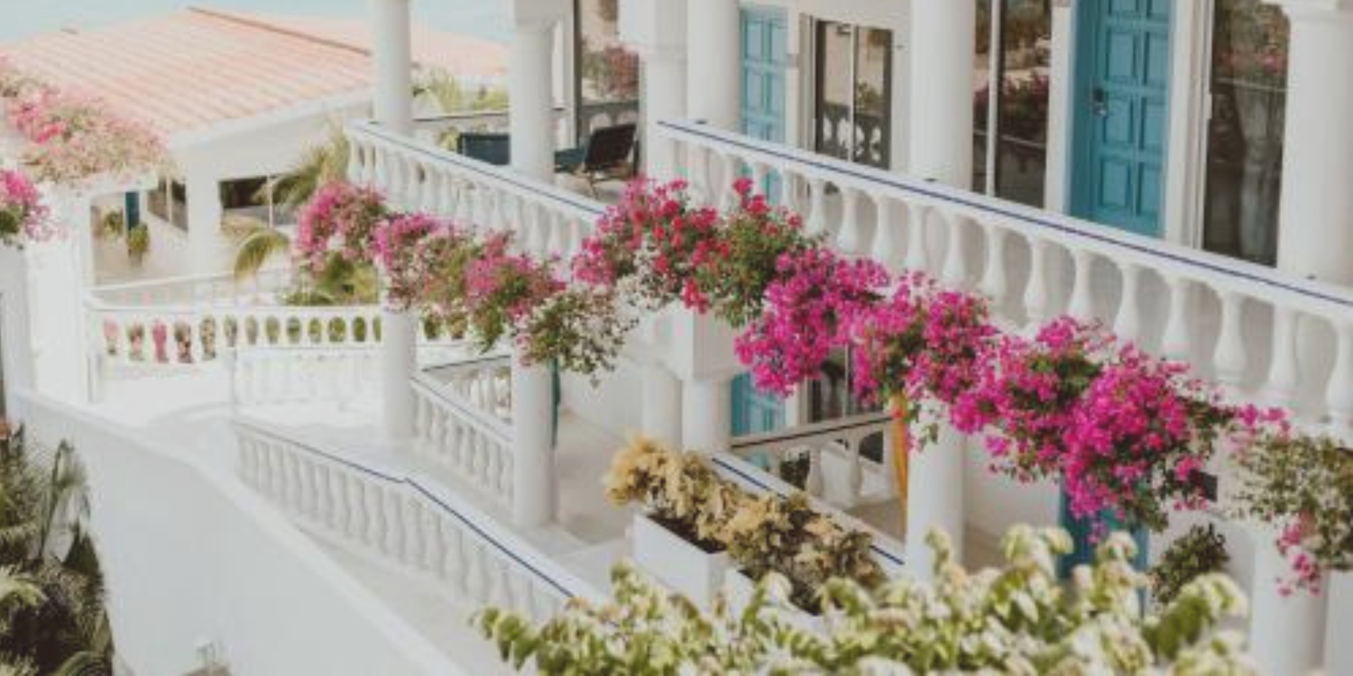 The Wedding Website of Lauren Walker and Adrian Martinez