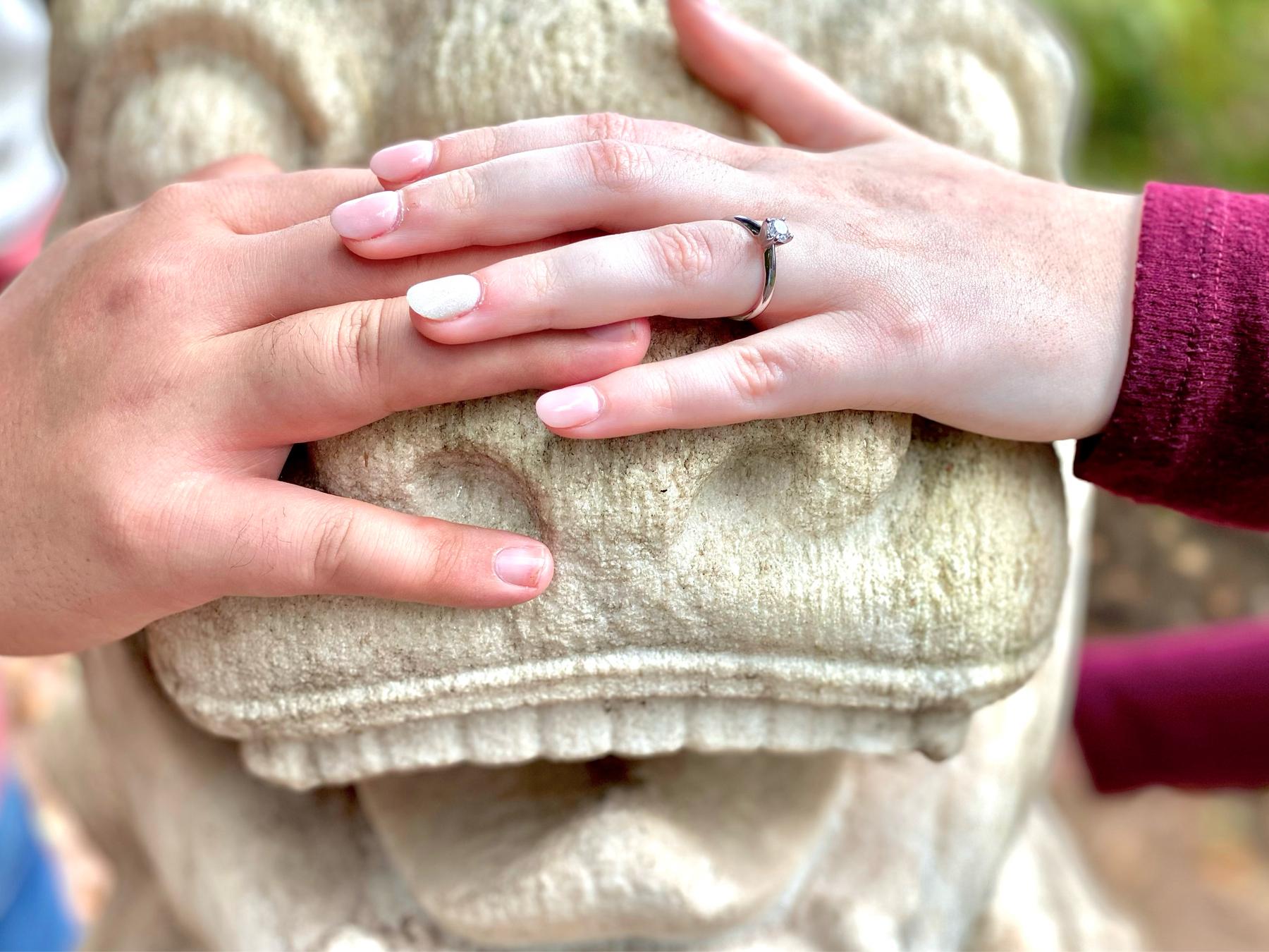 The Wedding Website of Victoria Hansen and Frank-Yanyi Jiao