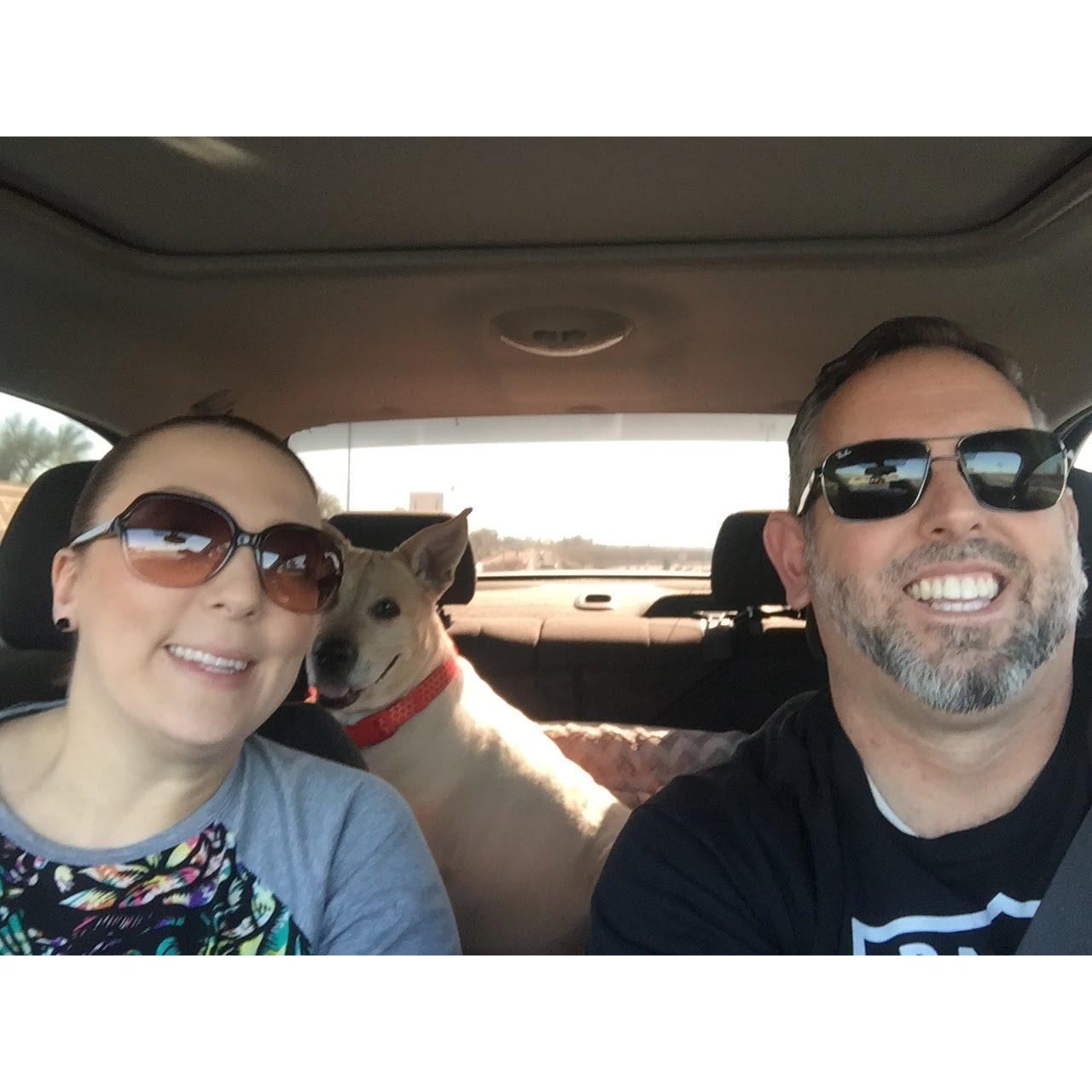 Honey Bear says, road trips are less stressful w/ these crazy people.