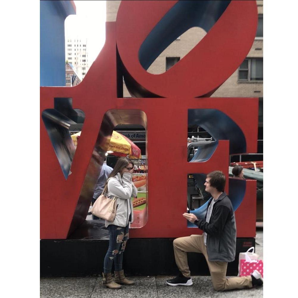 The proposal in NYC