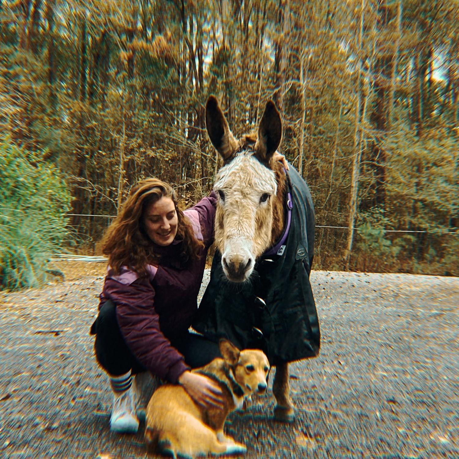 lizzy and the animals ❤️