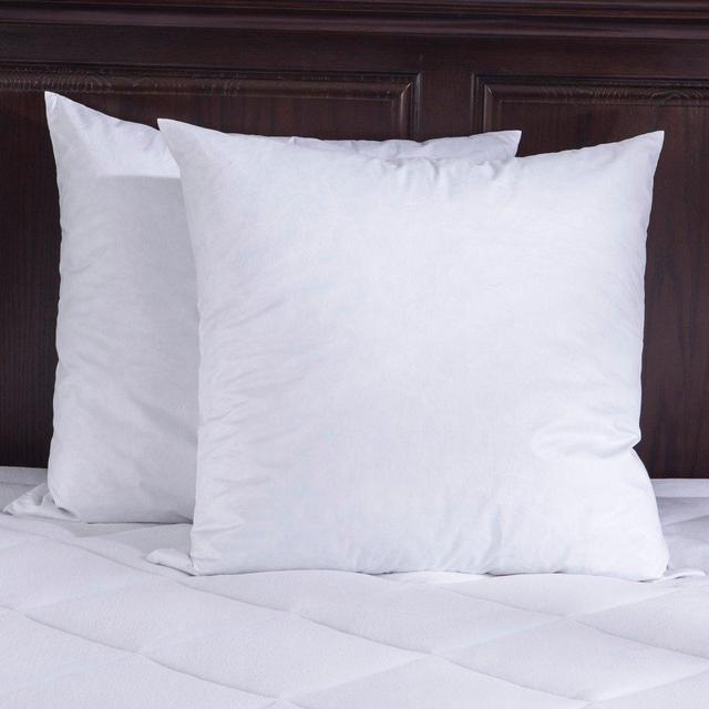 Puredown-20X20"-95% Feather 5% Down Square Pillow Insert-Pack of 2