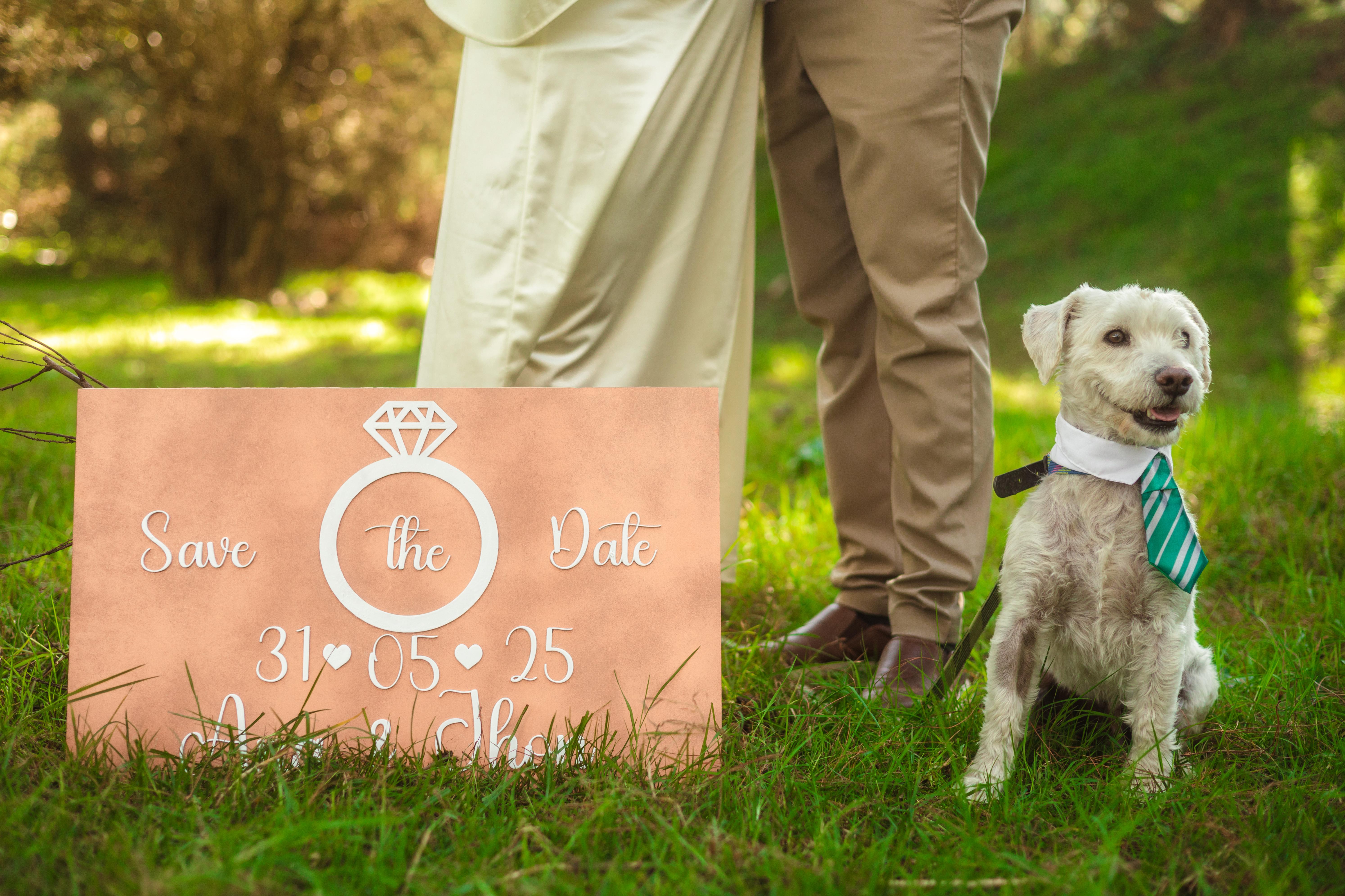 The Wedding Website of Ana Laura Pineda and Jhon Aldair Hernández