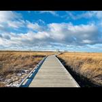 Headlands Beach State Park