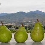 Top Things To Do in Southern Oregon