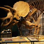 Science Museum of Minnesota