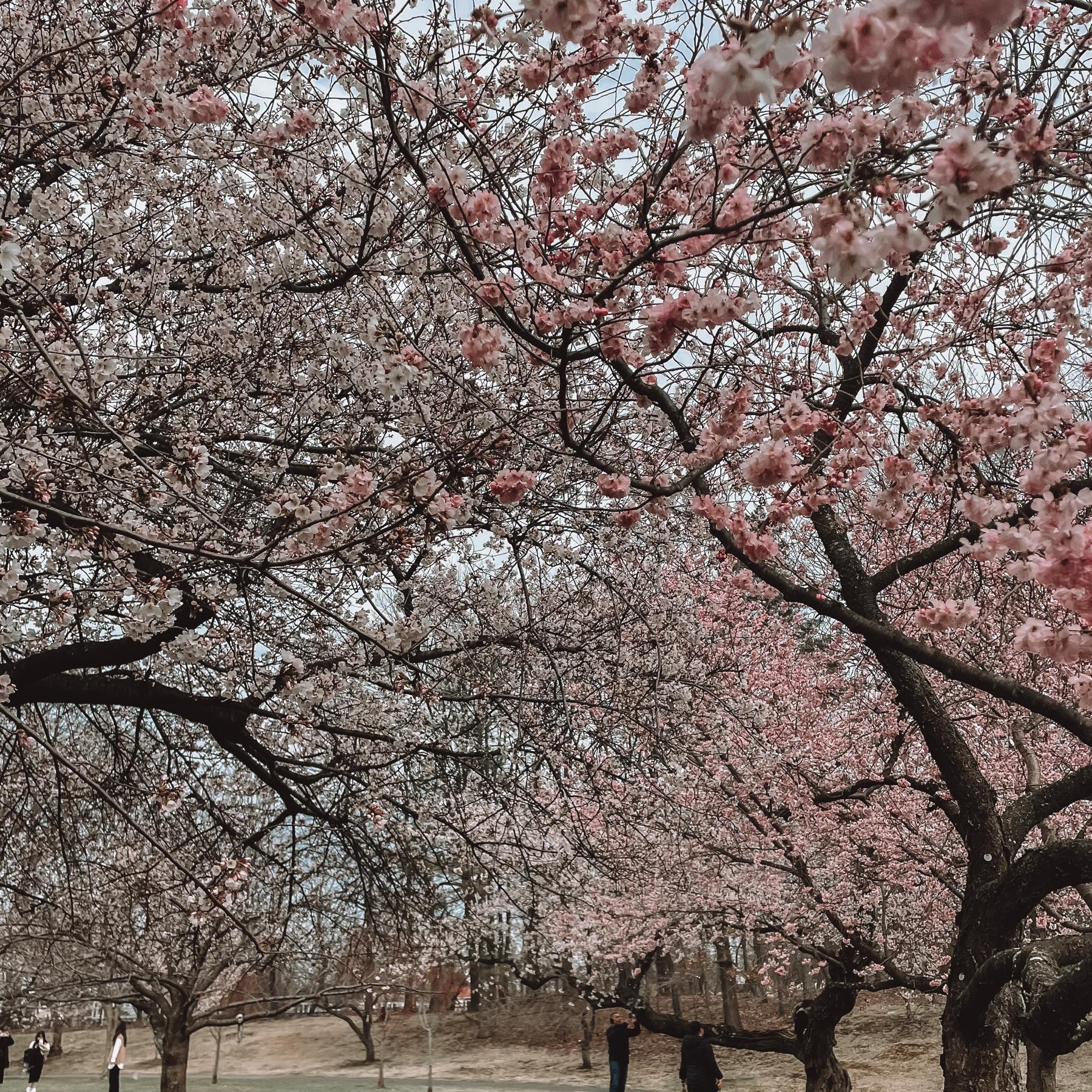 Our Favorite Charity