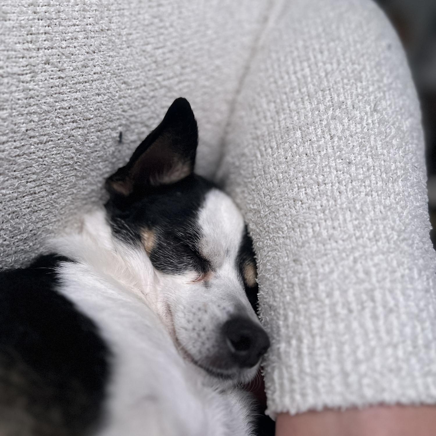 Smoosh
