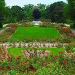 Columbus Park of Roses