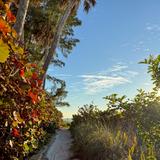 Anna Maria Island