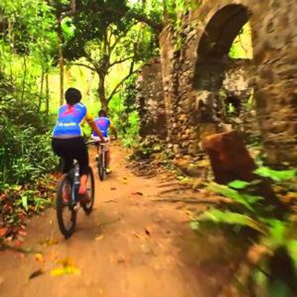 Jungle Biking on our Honeymoon