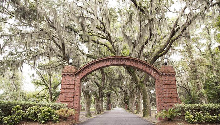 The Wedding Website of Zadie Bargeron and Nathan Laughlin