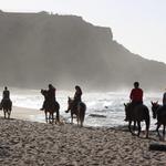Tropical Trail Rides
