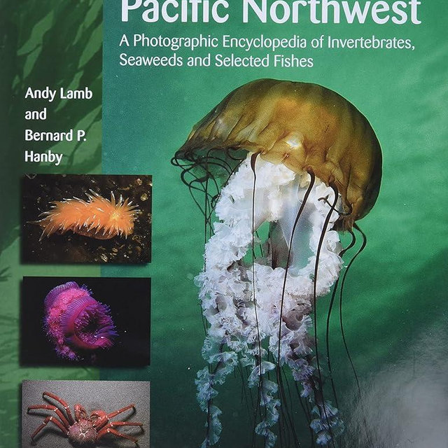 Marine Life of the Pacific Northwest: A Photographic Encyclopedia of Invertebrates, Seaweeds and Selected Fishes