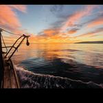 Dana Point Harbor