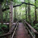 First Landing State Park