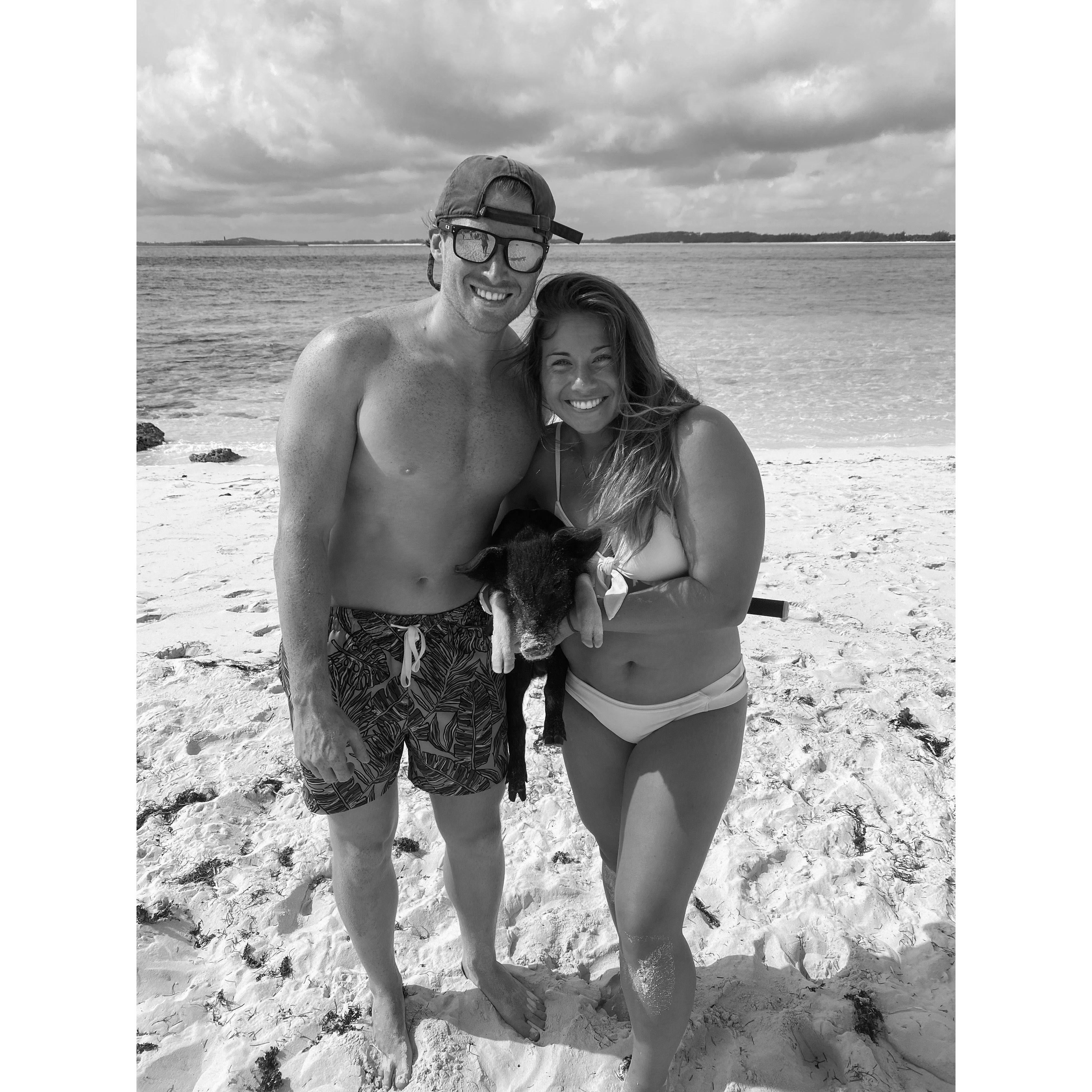 In the Bahamas playing with piggies.