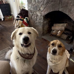 Fireplace Fund!