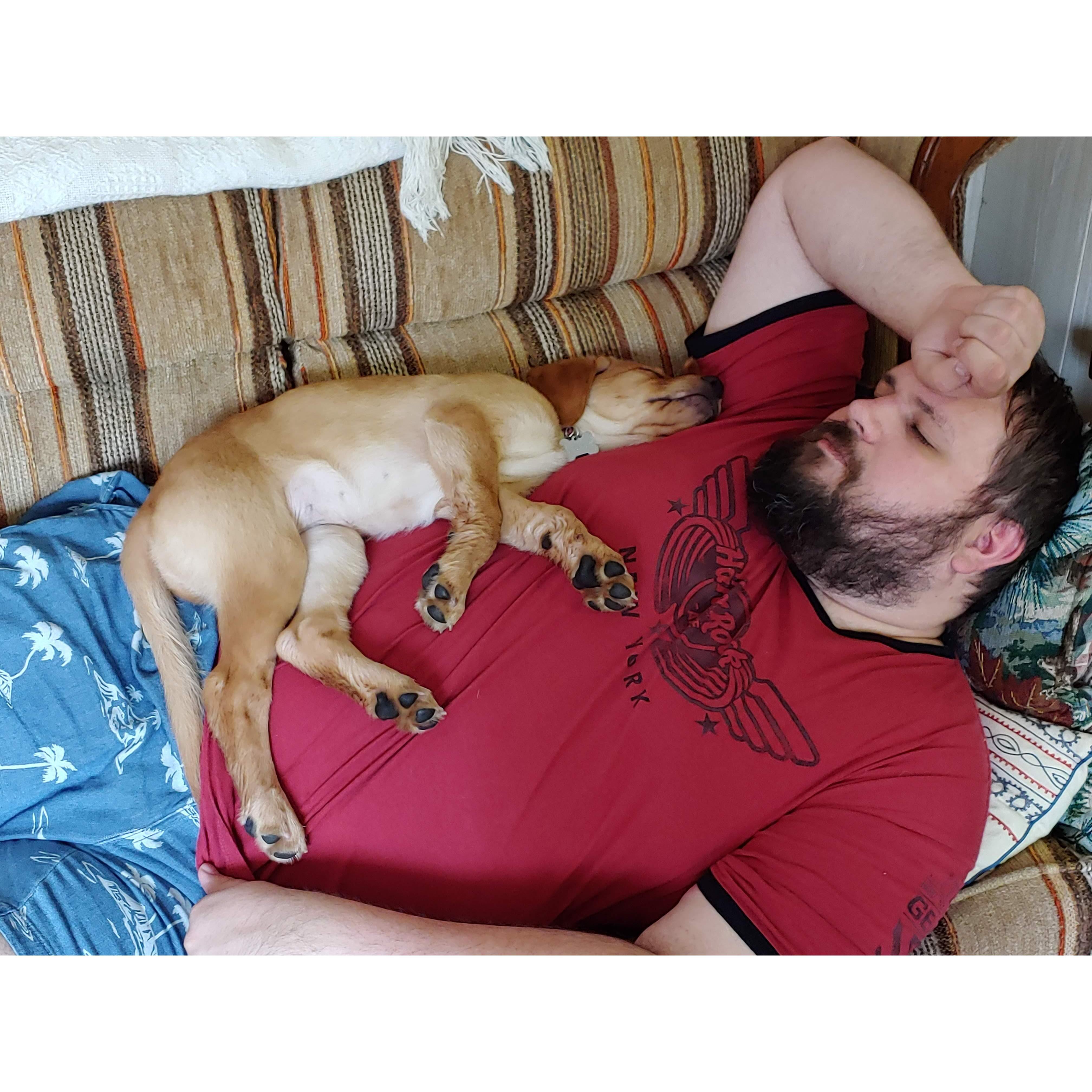Relaxing with Georgie up north 2019