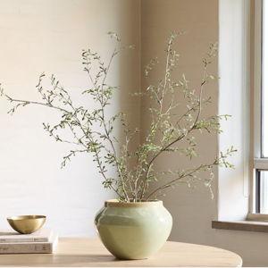 Faux Potted Sophora Prostrata Plant
