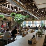 Casual Animal Brewing Co