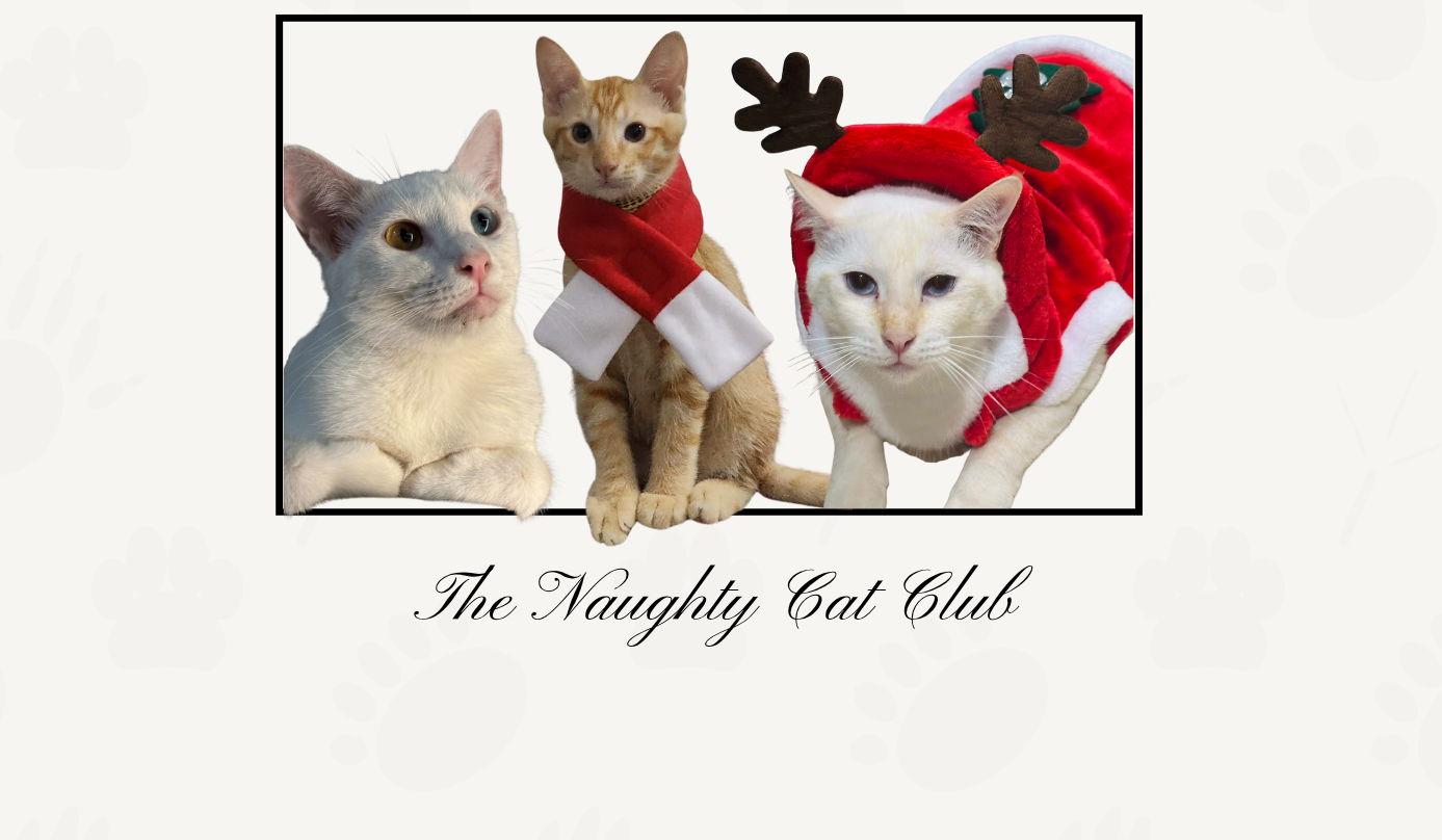 Footer image