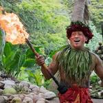 Macadamia Nut Farm/Time-effective Luau (N of Kaneohe)