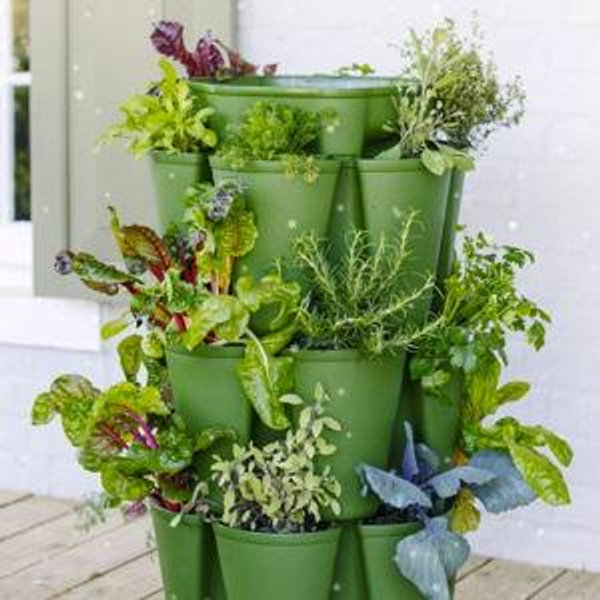 3 Tier GreenStalk Vertical Planter