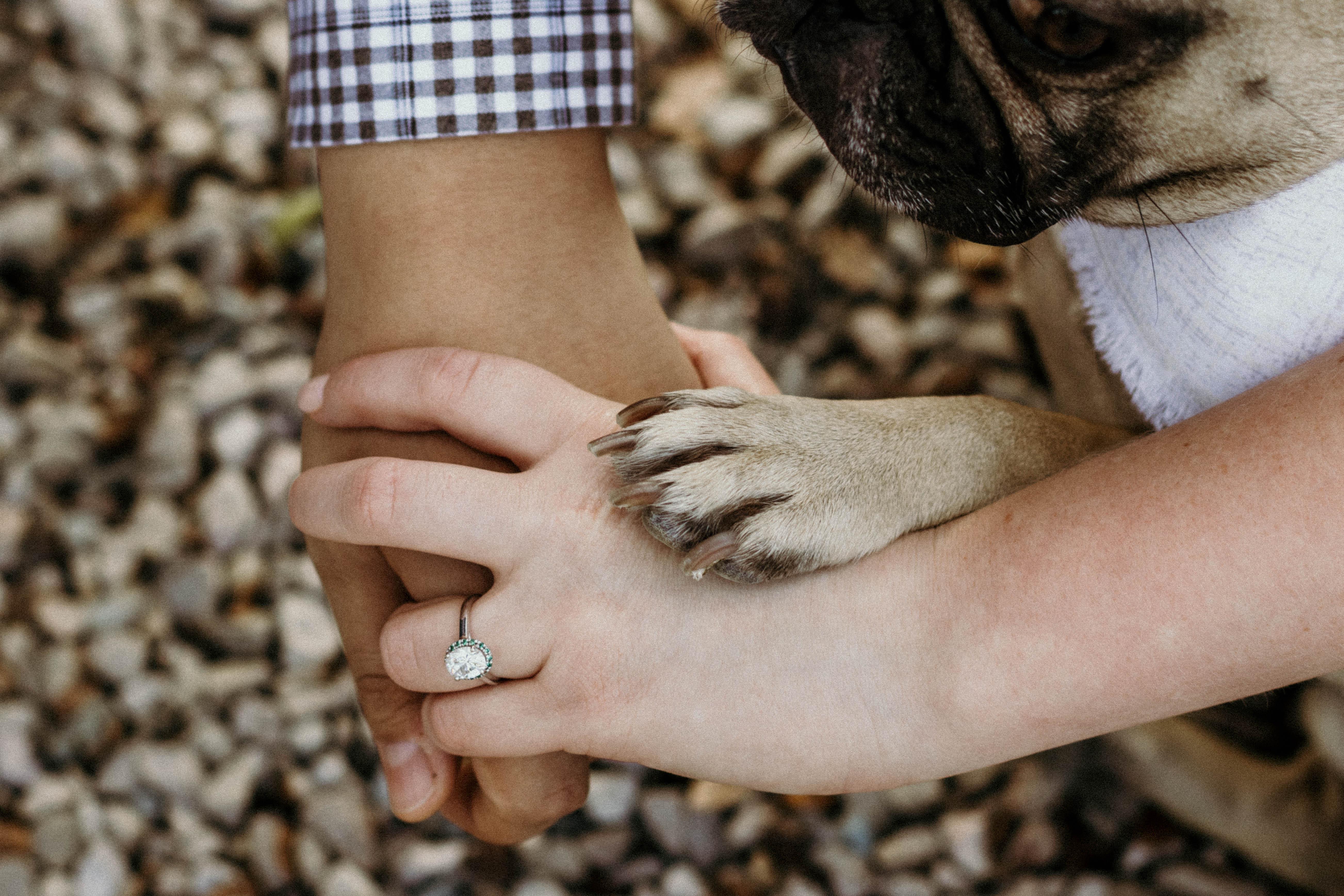 The Wedding Website of Lexie Rains and Joey Tamayo