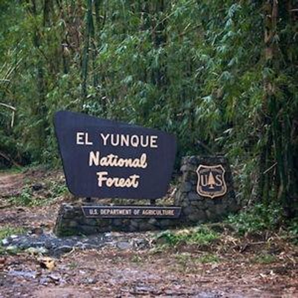 El Yunque
