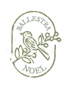 The Wedding Website of Anicée Ballestra and Joshua Noël
