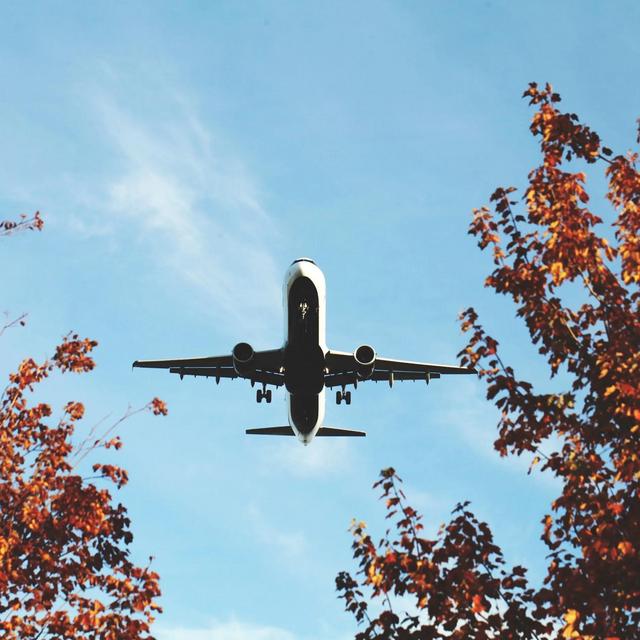 Travel & Experiences