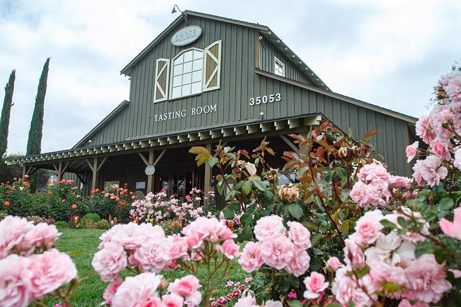 The Wedding Website of Ariana Solorzano and Alex Tavares
