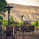 Palisade Wine Tours