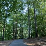 Apex Community Park