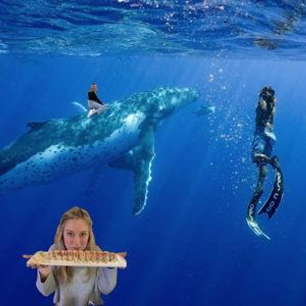 Honeymoon: Swimming with Whales Tour Ticket