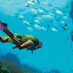 Scuba Diving