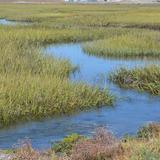 Seal Beach National Wildlife Refuge